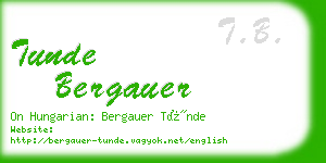 tunde bergauer business card